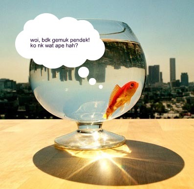 [fish bowl[3].jpg]