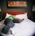 Tom James takes a much needed nap after a long day of skiing.