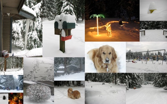 [Snowstorm Collage[5].jpg]