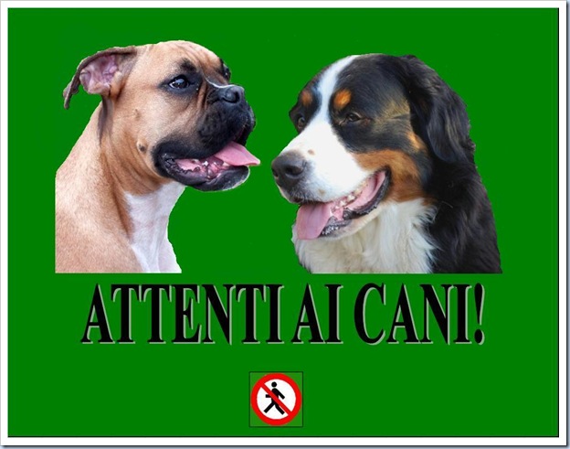 Cartello 'Attenti Al Cane' Per Bovaro Del Bernese - Targa In Metallo 15x20 Cm - Foto 6