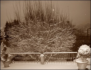 DSC_0009 DSC_0009