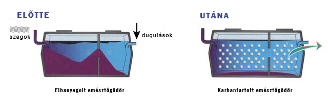 Septifossal kezelt emésztő gödőr