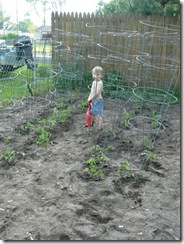 planting the garden- legos 061