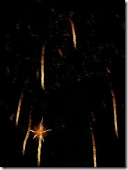 fireworks 036