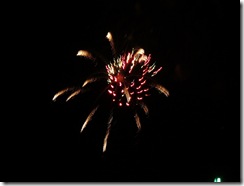 fireworks 038