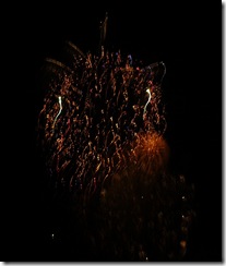fireworks 083