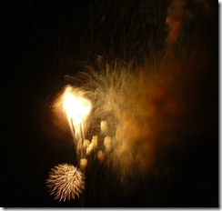 fireworks 088