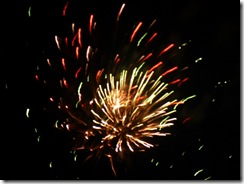 fireworks 096