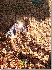 caelun in the leaves 020