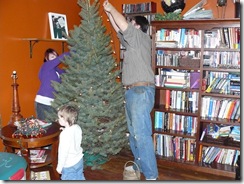 putting up the tree 011