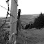 Hellfire Club, Environs