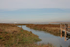 Coyote Creek
