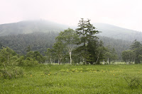 IMG_9839.JPG Photo