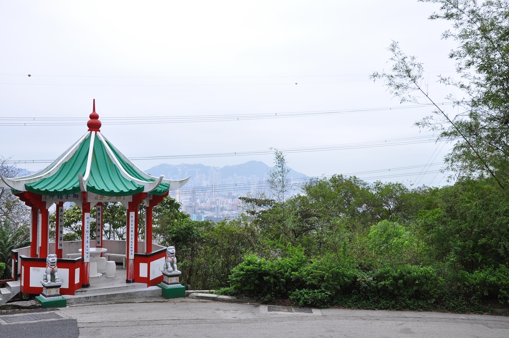 [DSC_0030[3].jpg]