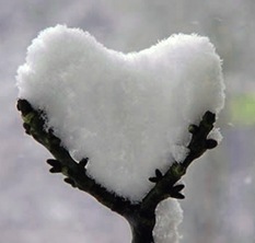 Снежное сердце