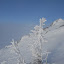 D20_0054.jpg