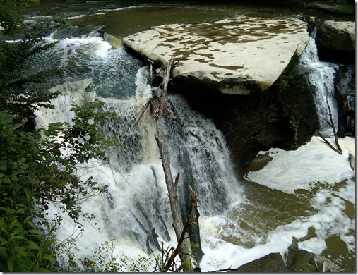 IMG00099-20090822-1815