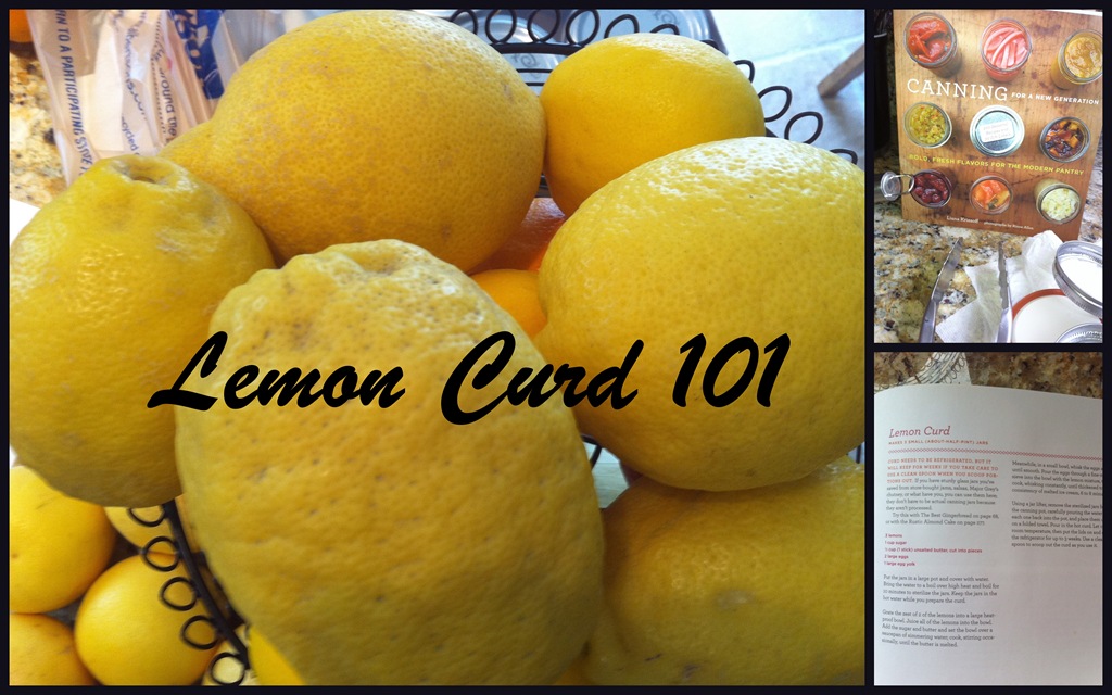 [2011 March Lemon Curd 101[5].jpg]