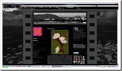 blog_new blog_new