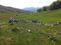 IMG_1172.JPG