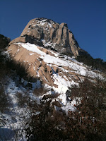 IMG_0415.JPG Photo