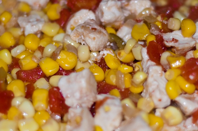[Skillet Chicken Ole3[5].jpg]