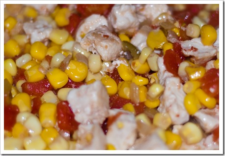 Skillet Chicken Ole3