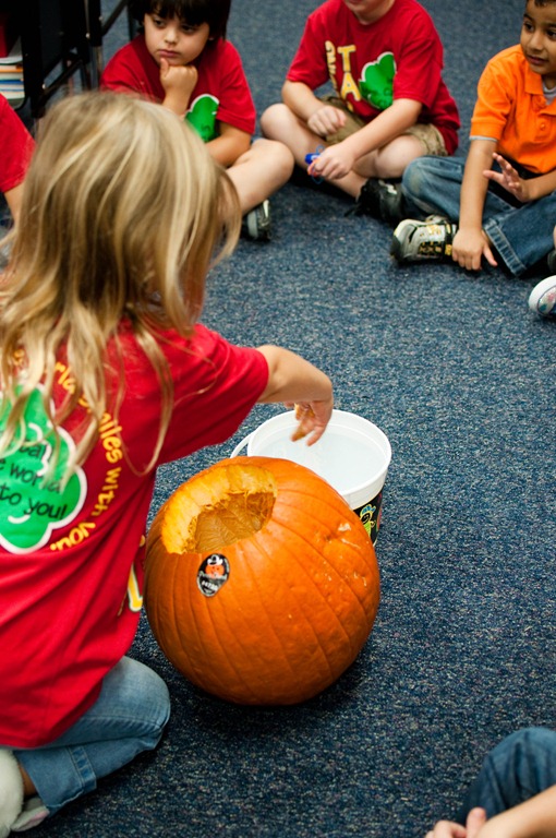 [pumpkinfun14[4].jpg]