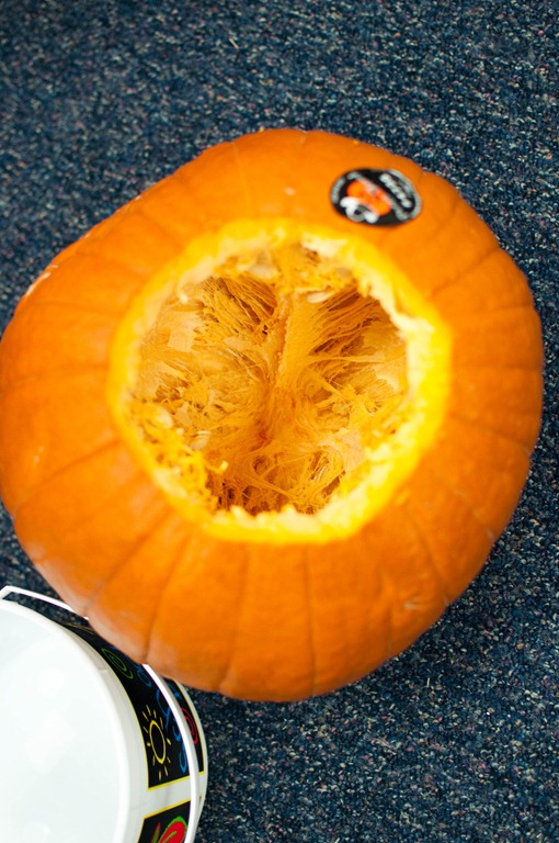 [pumpkinfun12[4].jpg]