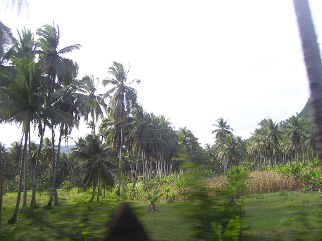 Cebu-Carmen-Uragay-Spring