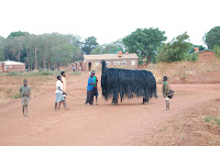 One day a German student came home after her first day in the hospital to tell me "Something strange happened today. Someone died in the male ward and all the women began to wail and weep. Even men were crying. I didn't realize everyone shouts and wails when someone dies in Malawi." Later I found out that the man who had died was a King. Kings in Malawi are not like politicians but they are locally influential, I think out of deference to tradition. The government calls kings Traditional Authorities and each county is named after its traditional authority. Most of the area around St. Gabriel's Hospital is Catholic, but many traditions still involve practices rooted in animism. For example, the Nyau are a semi-secret society that dresses up as animal spirits. In October there was a week long ceremony to choose the new king and these horse-like spirits came from all over to confirm him. Often the animal spirits are scary and they chase kids around like the boogie man, but these horses were friendly.