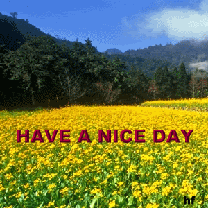 [Nice-day-hi5-comment-09[1][5].gif]
