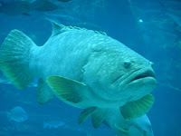 PA030154.JPG