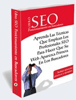 libro seo 