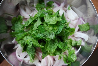 chopped onion,mint