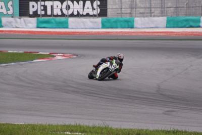[IMG_0095_400x267[2].jpg]