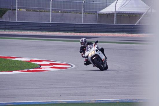 [IMG_0187edit_550x367[2].jpg]