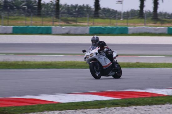 [IMG_0320_550x367[2].jpg]