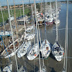 DSCN0701.JPG