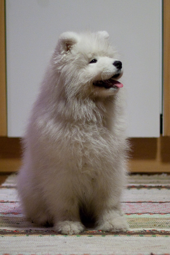 20091027-IMG_2307.jpg