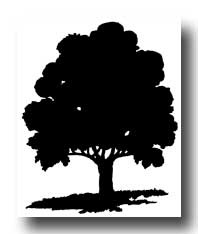 [treesilhouettes3tn3.jpg]