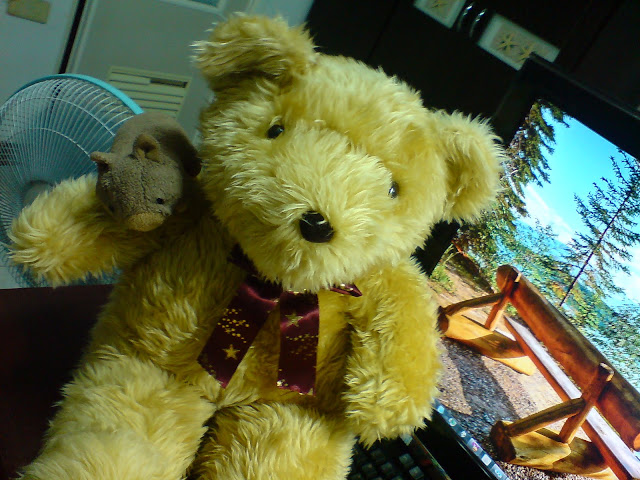 DSC06248.JPG