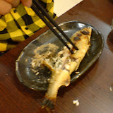 DSC05588.JPG