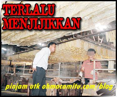 tauhu dari air lumut