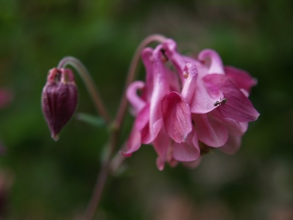 P6122253