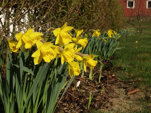 2009-04-09 (19)