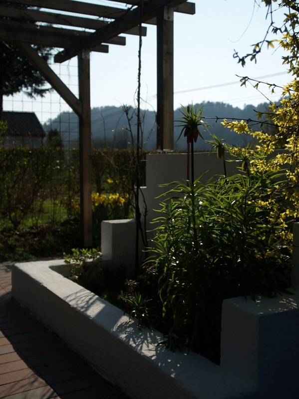 2009-04-24 (7)
