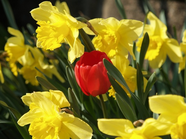 2009-04-24 (5)