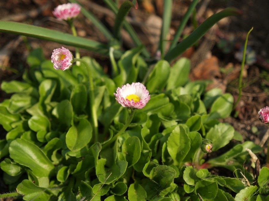 [2009-04-26 (26)[2].jpg]