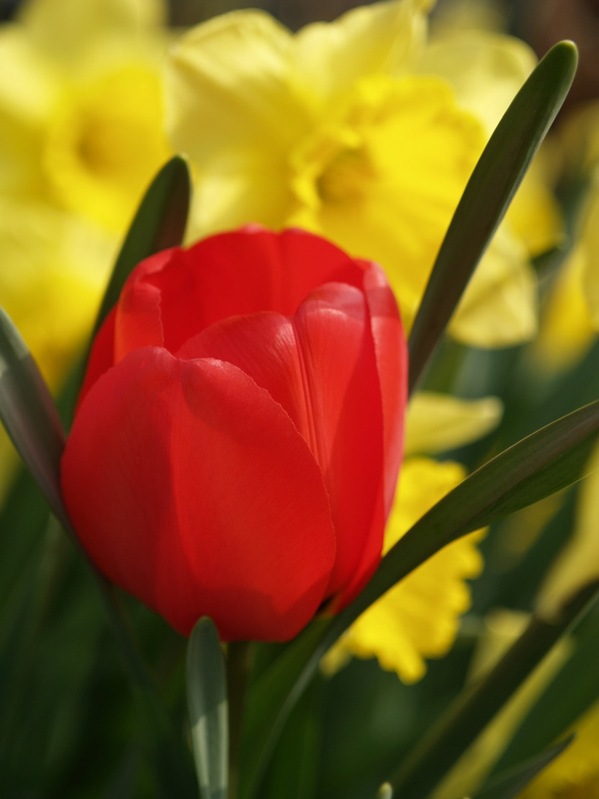 2009-04-26 (90)